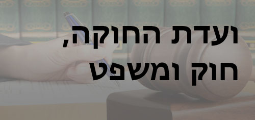 ועדת החוקה